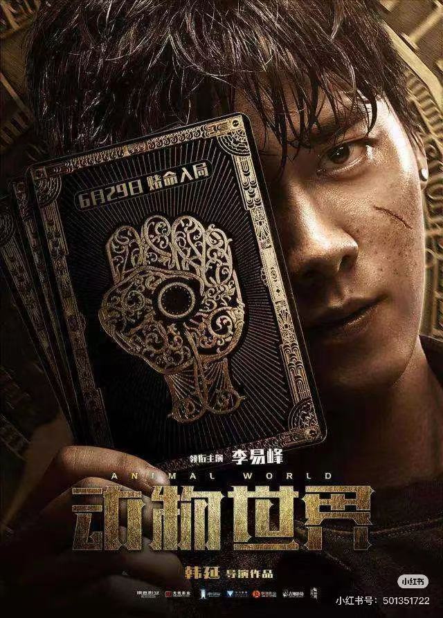 动物世界配图