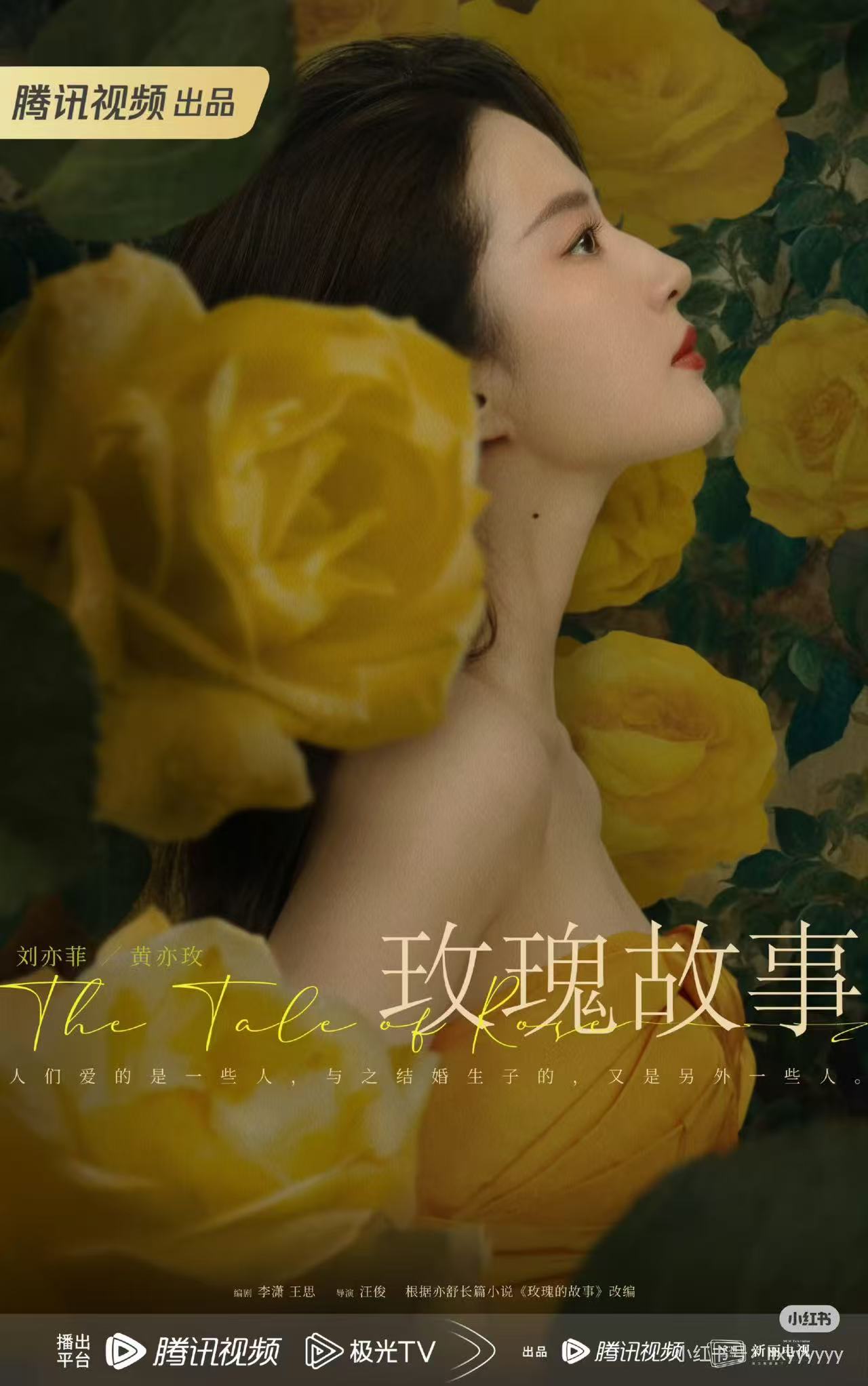玫瑰的故事配图