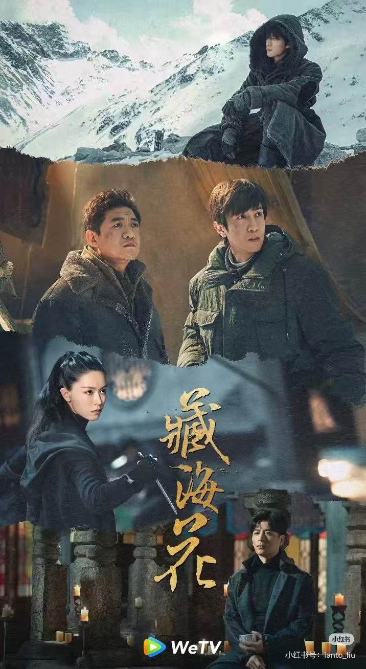 藏海花配图