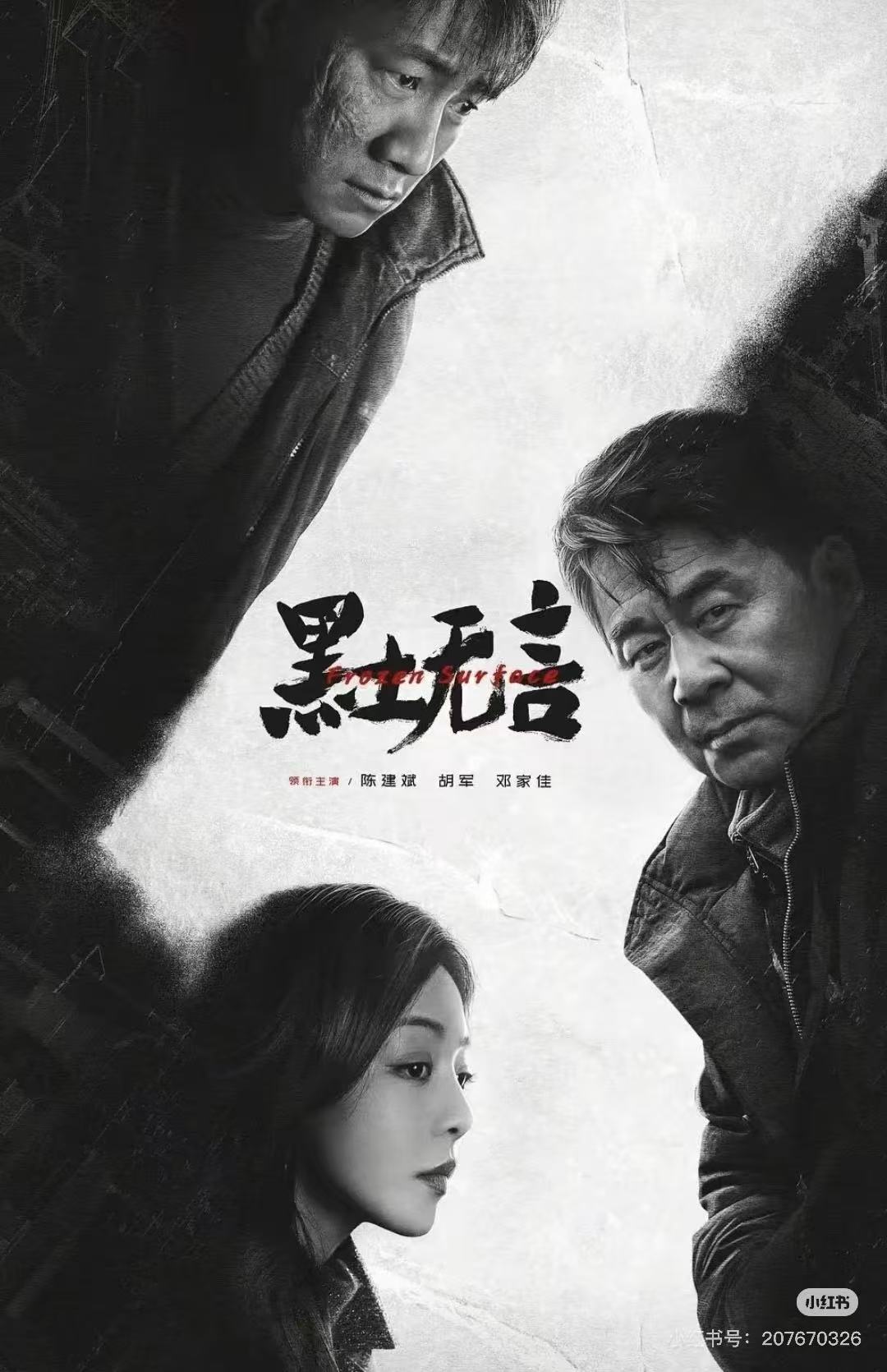 黑土无言配图